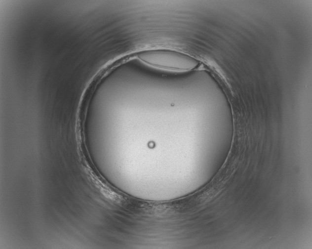 X0000073991072200609181736