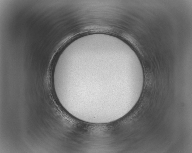 X0000073991074200609181736