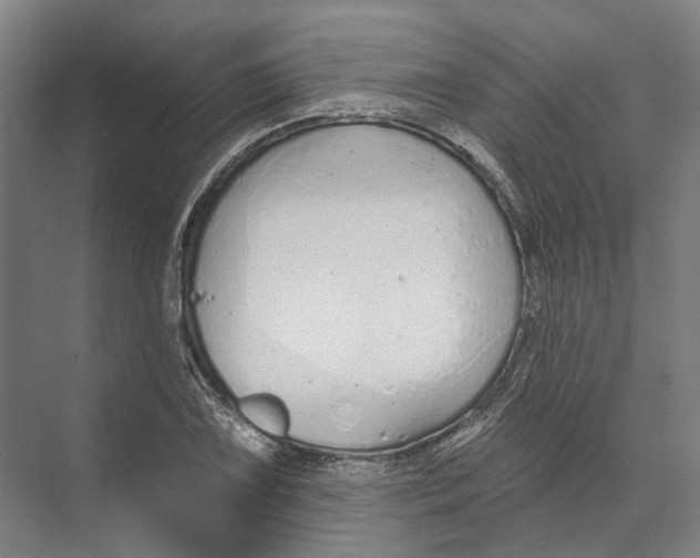 X0000073991075200609181736