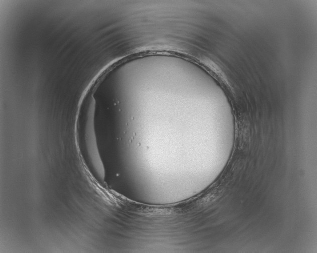 X0000073991076200609181736