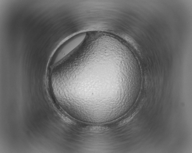 X0000073991077200609181736