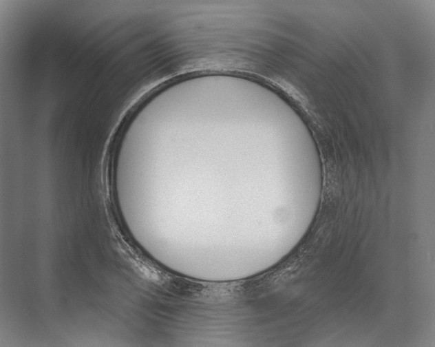 X0000073991078200609181736