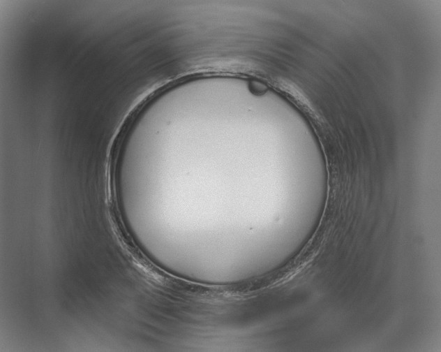 X0000073991079200609181736