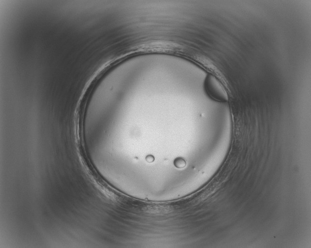 X0000073991083200609181736