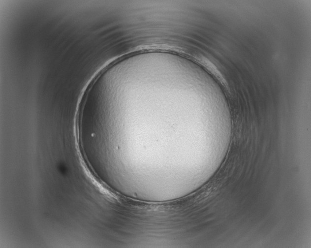 X0000073991084200609181736