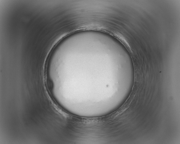 X0000073991087200609181736