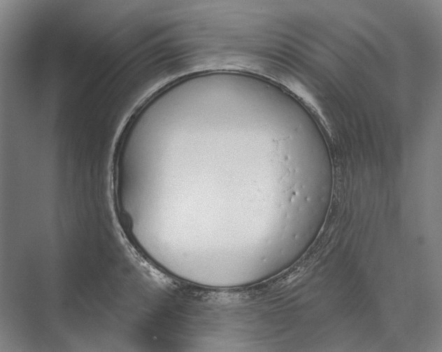 X0000073991088200609181736