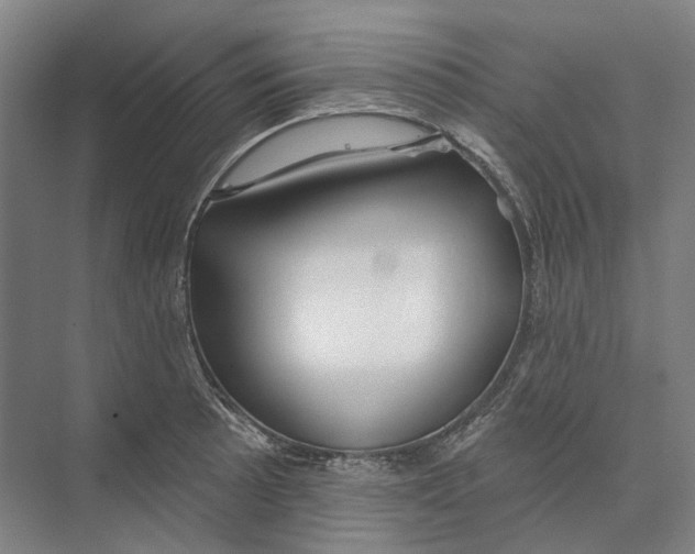 X0000073991089200609181736