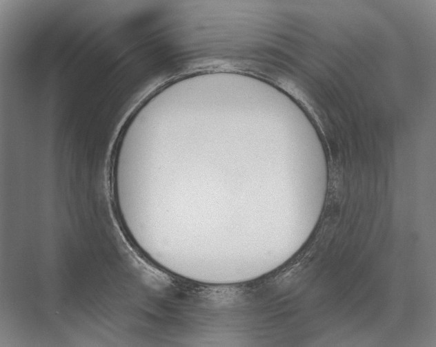 X0000073991090200609181736