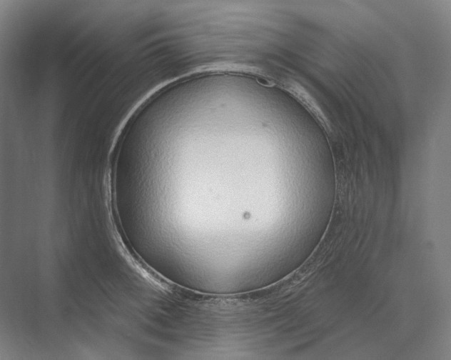 X0000073991092200609181736