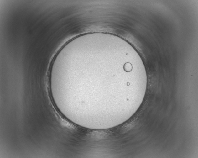 X0000073991094200609181736