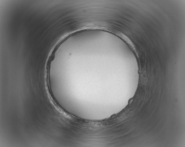 X0000073991096200609181736