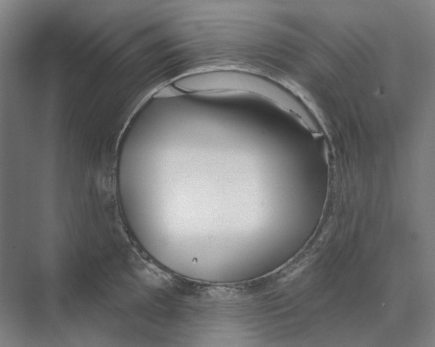 X0000073991097200609181736