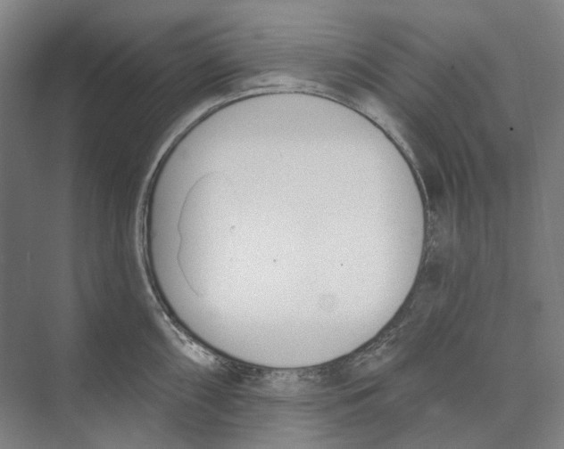 X0000073991098200609181736