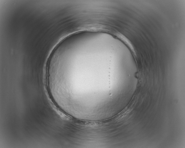 X0000073991099200609181736