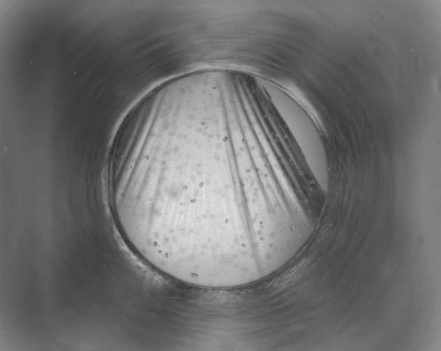 X0000073991100200609181736