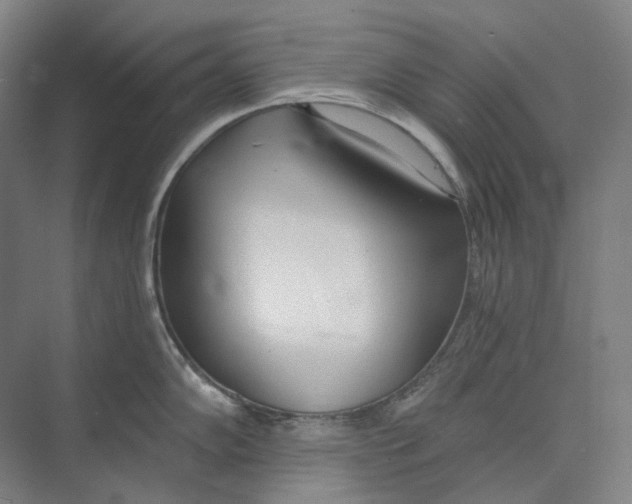 X0000073991102200609181736