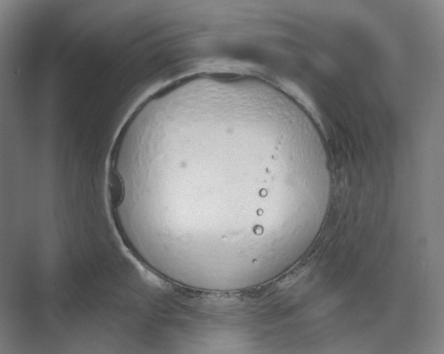 X0000073991103200609181736