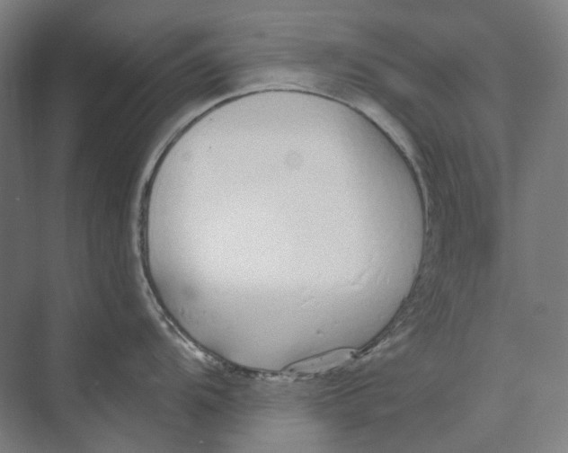 X0000073991104200609181736