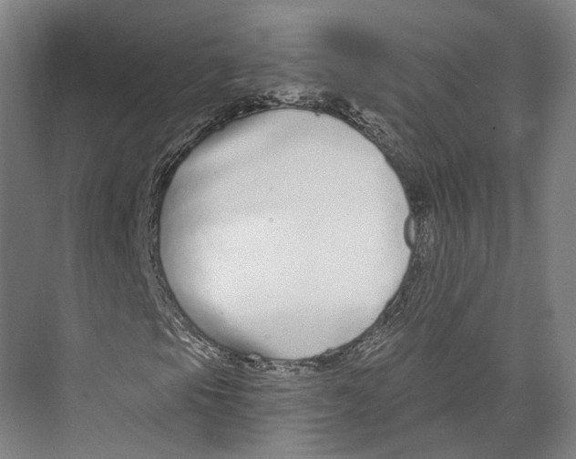 X0000073991105200609181735