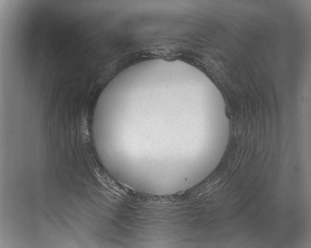 X0000073991106200609181735