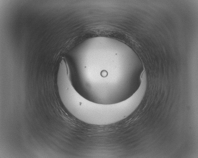 X0000073991108200609181735