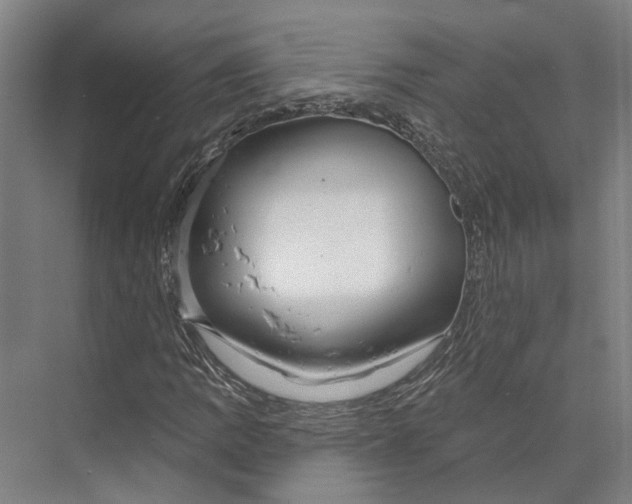 X0000073991109200609181735