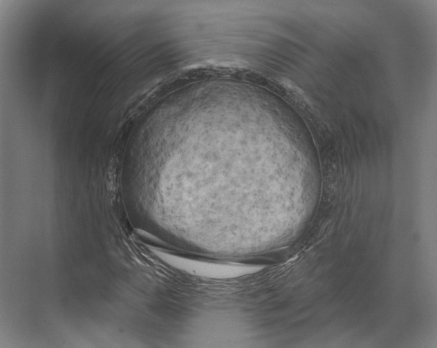 X0000073991110200609181735