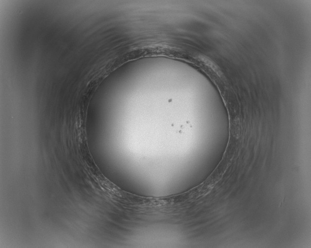 X0000073991111200609181735