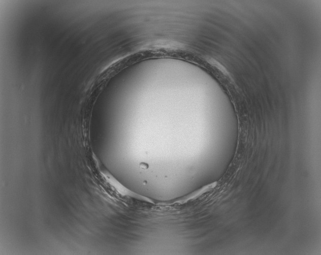 X0000073991112200609181735