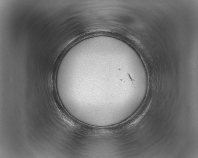 X0000073991113200609181735