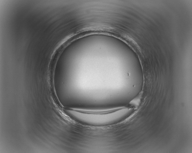 X0000073991114200609181735