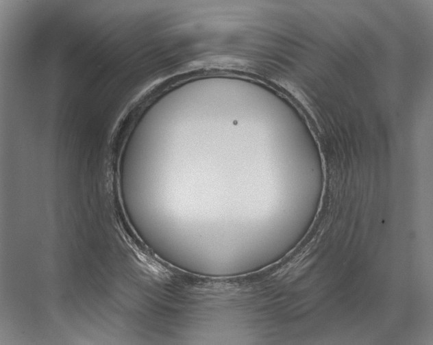 X0000073991115200609181735