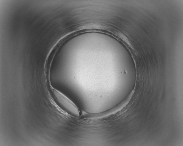 X0000073991116200609181735