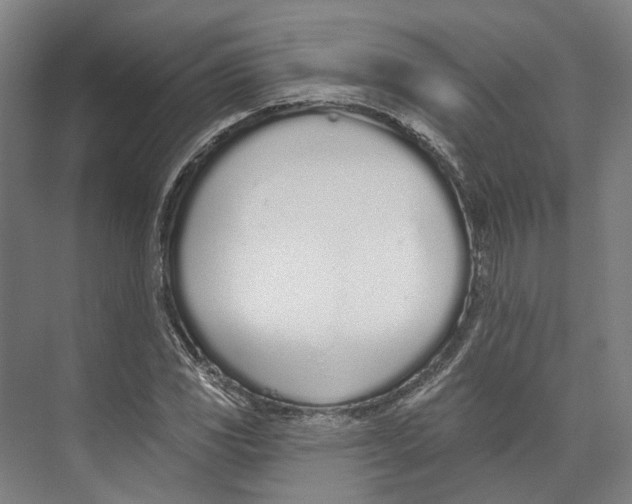 X0000073991117200609181735