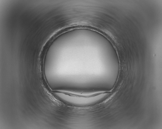 X0000073991118200609181735