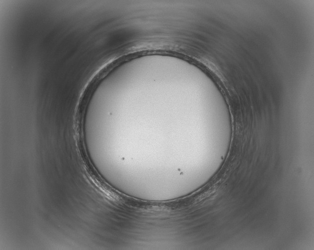 X0000073991119200609181735