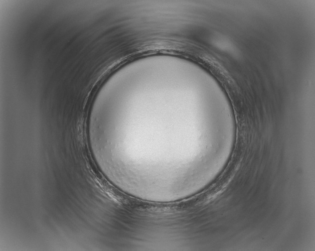 X0000073991121200609181735