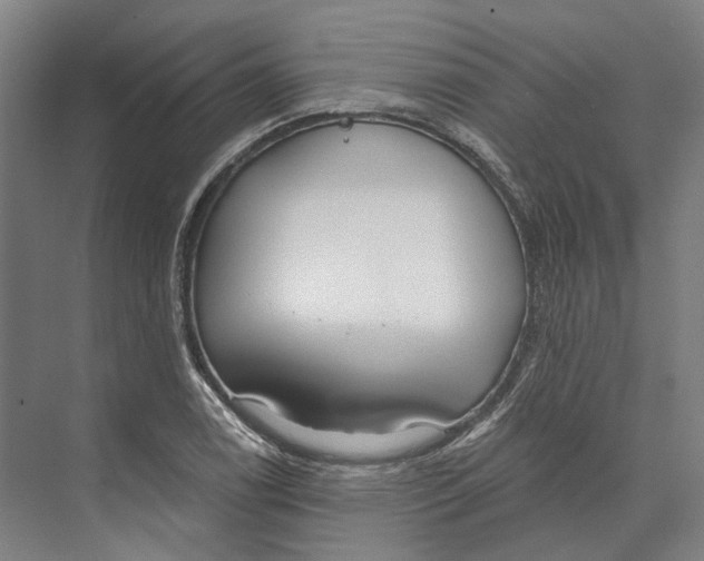 X0000073991122200609181735