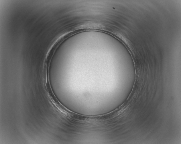 X0000073991123200609181735