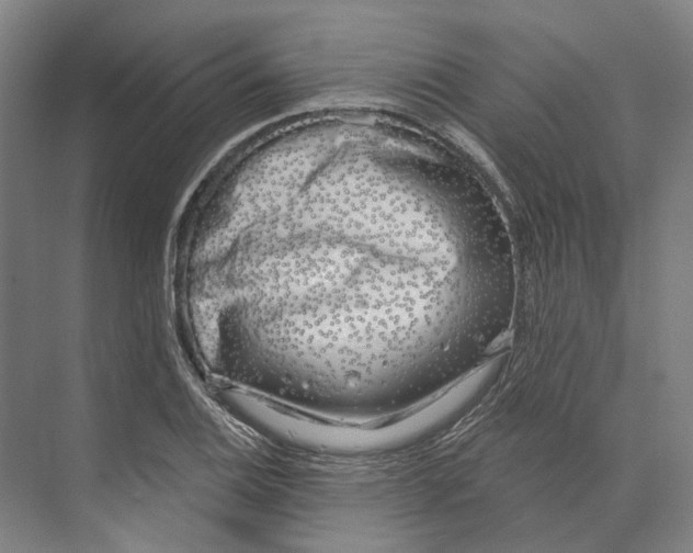 X0000073991124200609181735