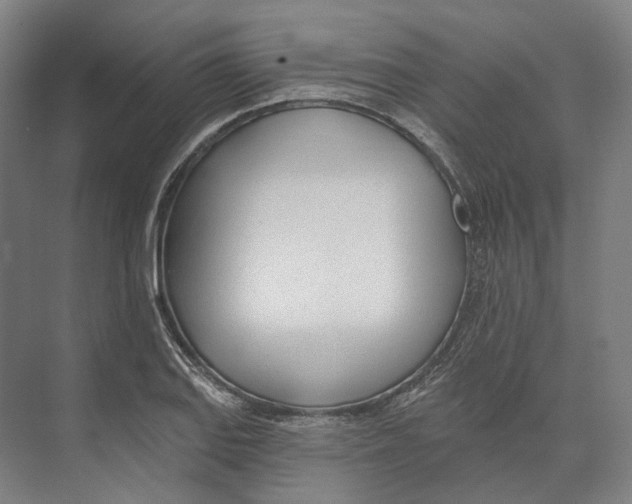 X0000073991127200609181735