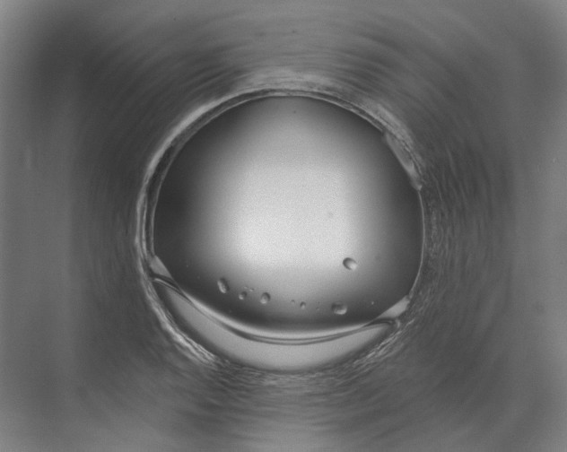 X0000073991128200609181735