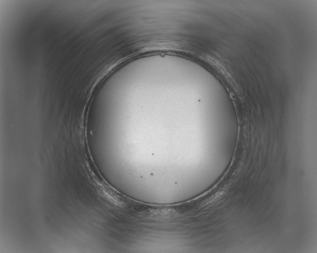 X0000073991129200609181735