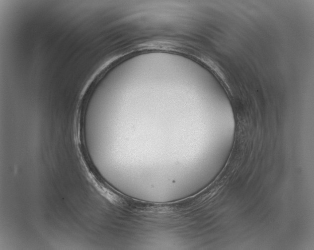 X0000073991131200609181735