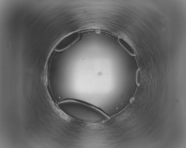 X0000073991132200609181735