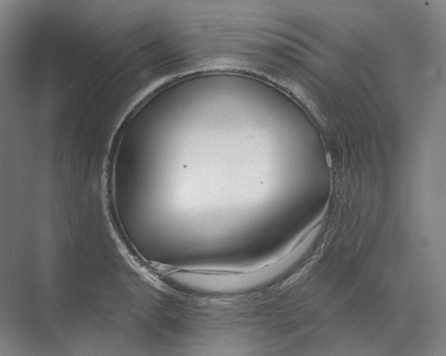 X0000073991134200609181735