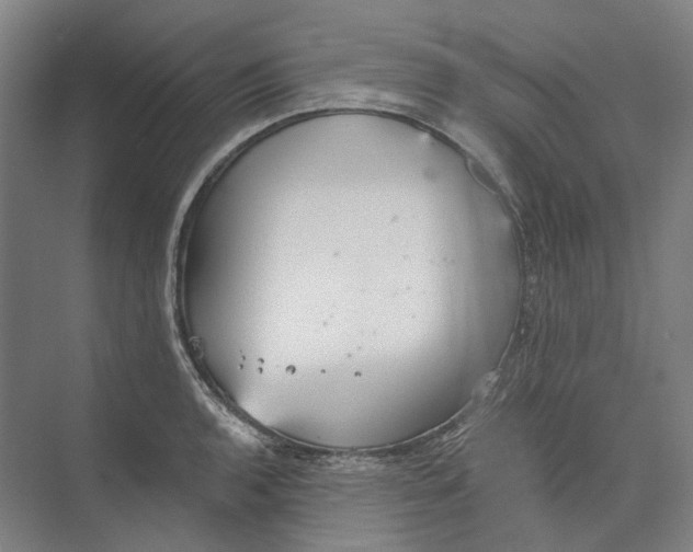 X0000073991136200609181735