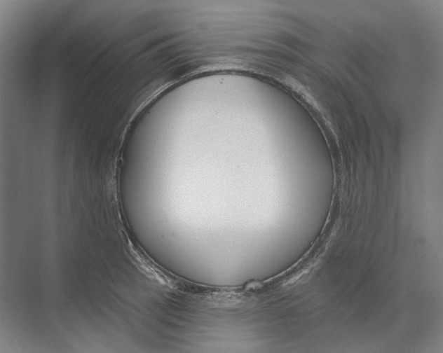 X0000073991137200609181735