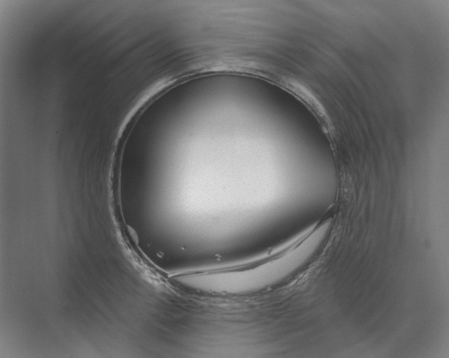 X0000073991138200609181735